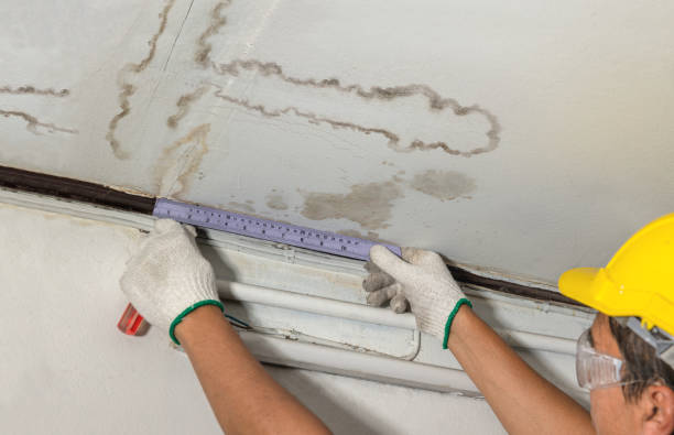 Reliable Water Damage contractor in Victor, ID by Water Damage Irwin